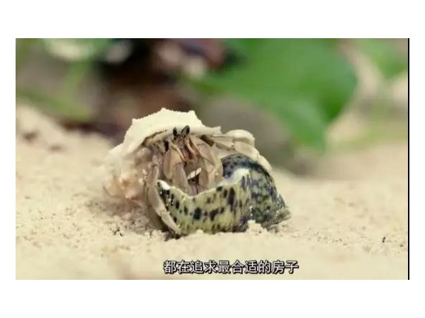 會(huì)移動(dòng)的戶外廣告來(lái)了，根本不夠看！